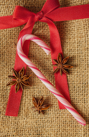 candy cane on top of a bow