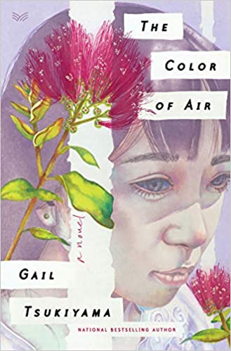 The Color of Air book cover