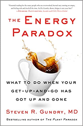 The Energy Paradox book cover