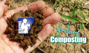 Hand holding composted soil