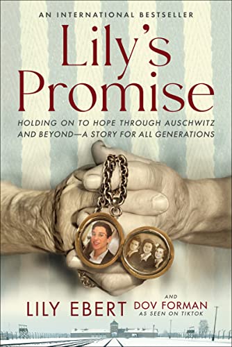 Lily's Promise book cover