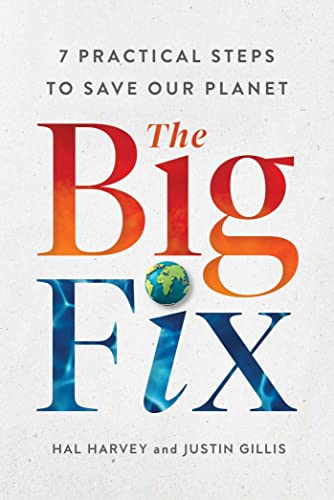 The Big Fix book cover