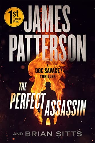 The Perfect Assassin book cover