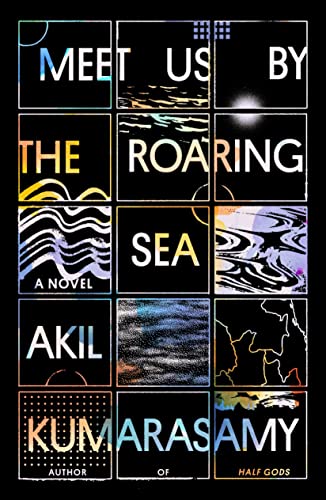 Meet Us by the Roaring Sea book cover