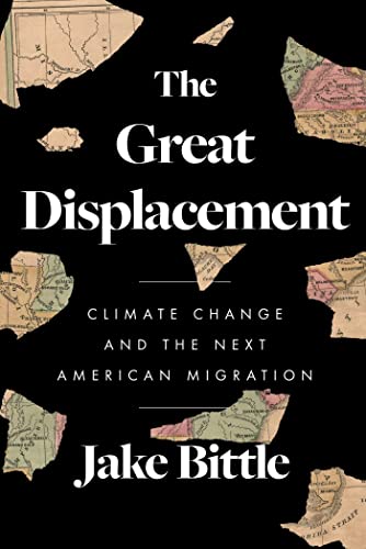 The Great Displacement book cover