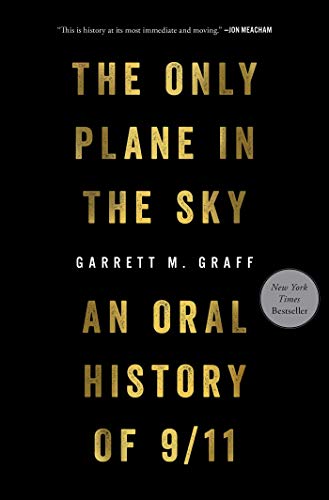 The Only Plane in the Sky book cover