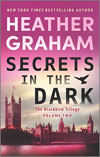 Secrets in the Dark book cover