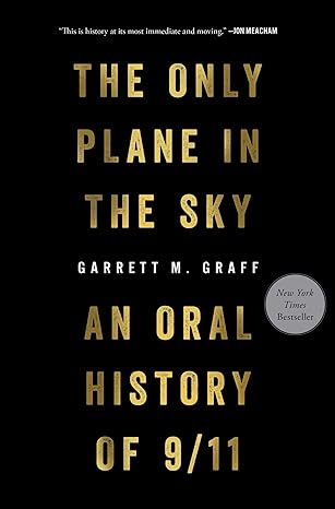 The Only Plane in the Sky book cover