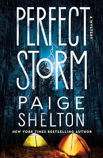 Perfect Storm book cover