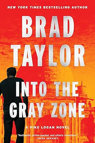 Into the Gray Zone book cover