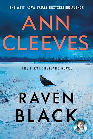 Raven Black book cover