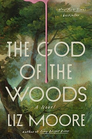 God of the Woods book cover