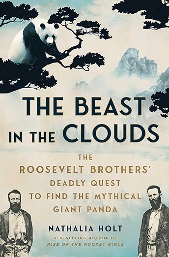 The Beast in the Clouds book cover