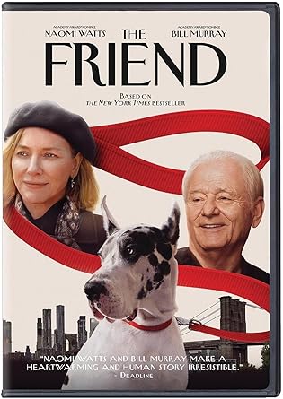 The Friend DVD Cover