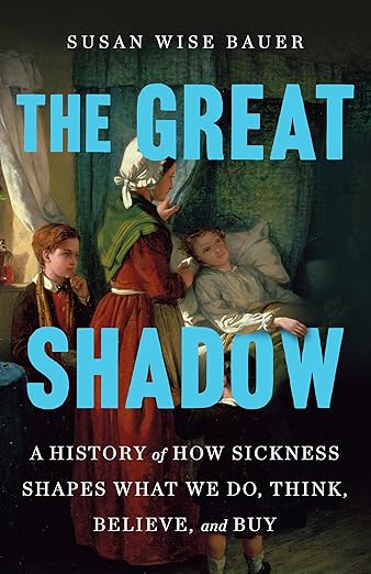 The Great Shadow book cover