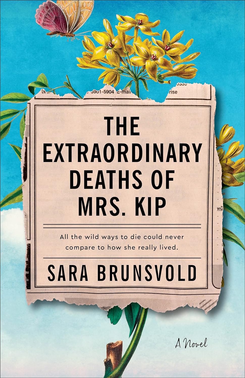 The Extraordinary Deaths of Mrs. Kip book cover