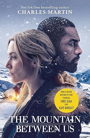 The Mountain Between Us book cover