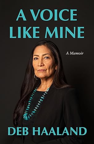 A Voice Like Mine book cover