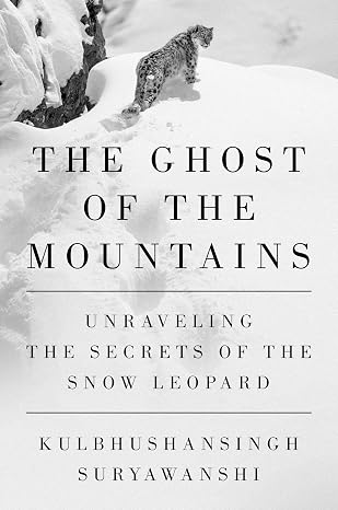 The Ghost of the Mountains book cover